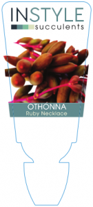 Othonna Ruby Necklace